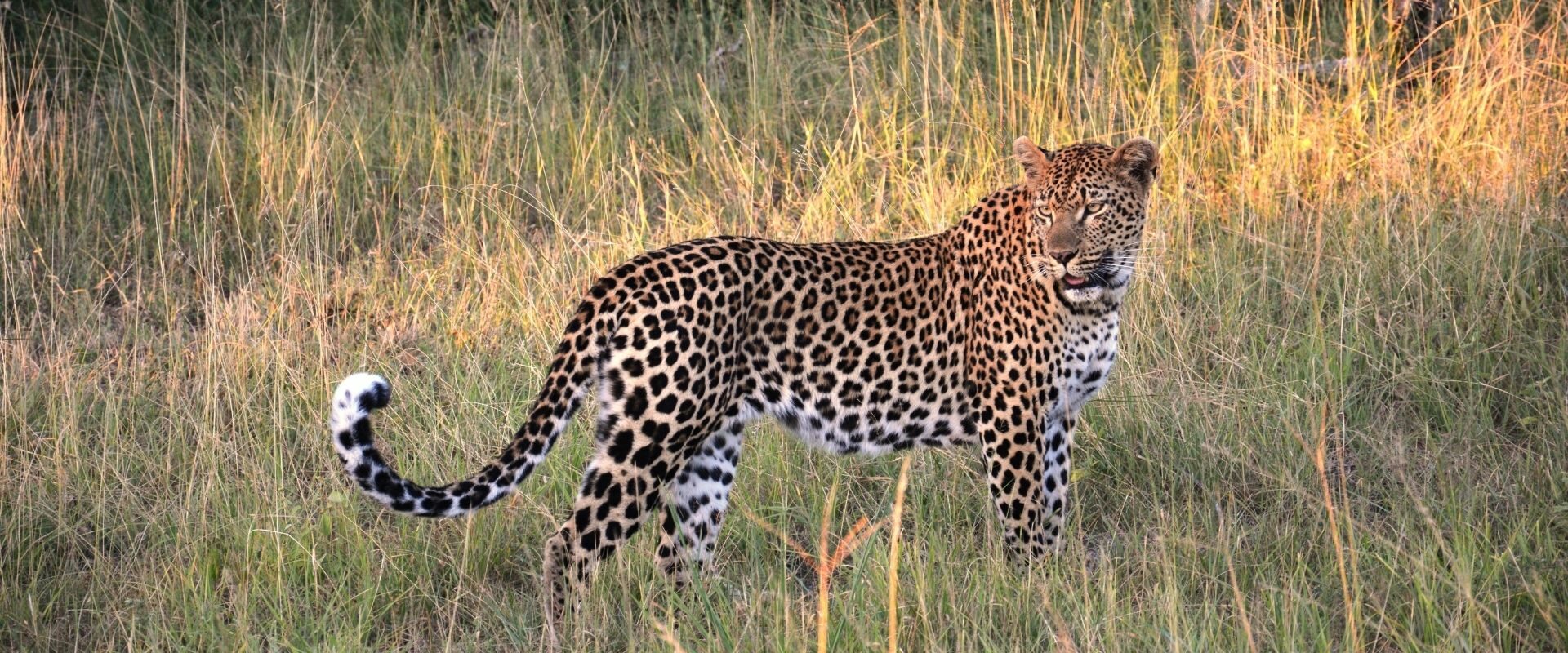 Rajaji National Park